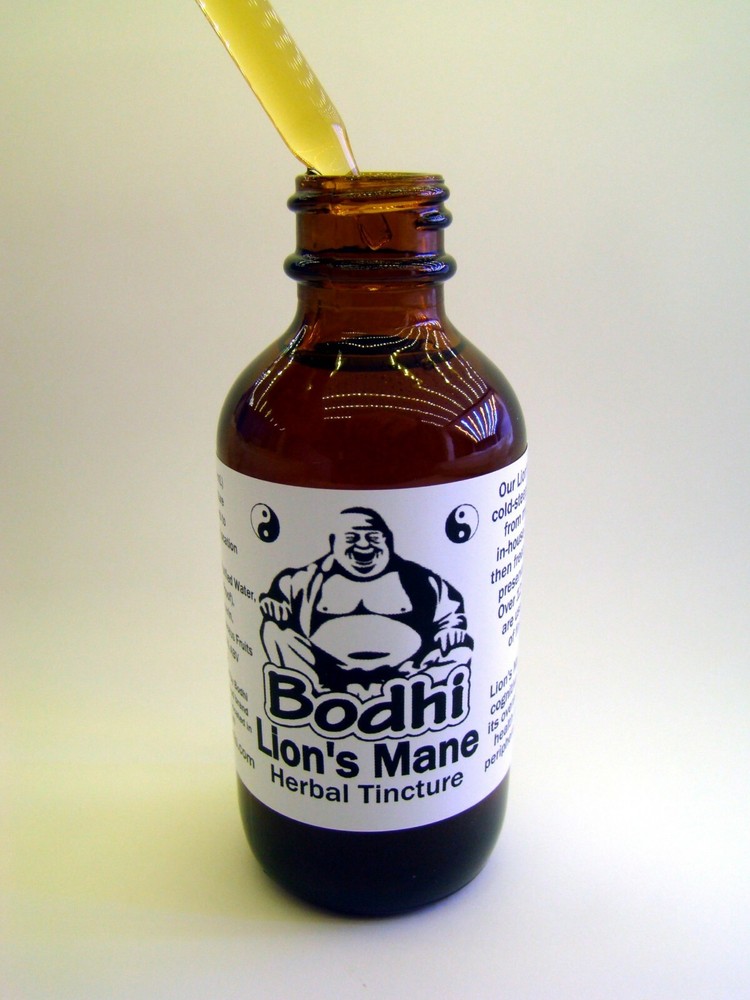 Lion’s Mane Fruits Herbal Tincture (H. erinaceus) – Cold Steeped & Concentrated