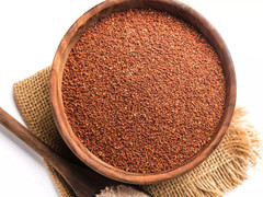 Ragi -Eleusine coracana -Finger Millet Whole 50gm /1.76 oz