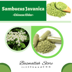 CAPSULES Chinese Elder Elderberry Sweet Elder Elder Flowers Sambucus Javanica