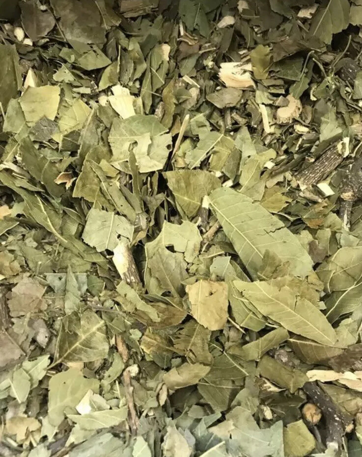 Zapote Blanco 8oz