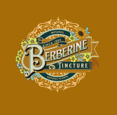 Berberine – Barberry Oregon Grape Goldenseal Extract- EASY Liquid Drops – USA