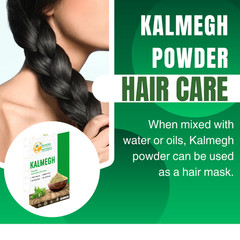 Kalmegh Powder Andrographis Paniculata Green Chiretta Help Detoxify Liver 5.3 oz