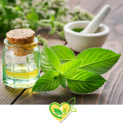 Spearmint Leaf Extract Non-Alcohol Organic Liquid Herbal Drops Digestive Aid 2oz
