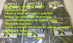 Ortiga, ortiga hierba/te, ortiga mayor, ortiga grande, ortiga comun 4oz, urtica