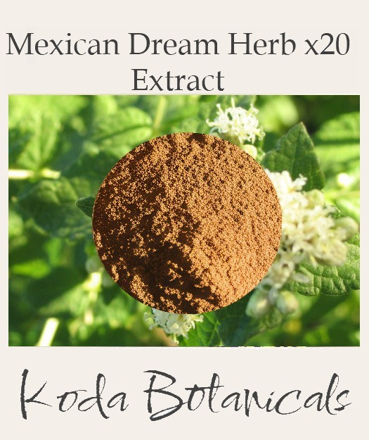 MEXICAN DREAM HERB 20:1 EXTRACT Calea zacatechichi **x20 Stronger Than Herb**