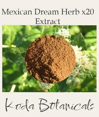 MEXICAN DREAM HERB 20:1 EXTRACT Calea zacatechichi **x20 Stronger Than Herb**