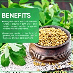 Jiva Organic Fenugreek Seeds 7 Ounce – NonGMO, Gluten Free, All Natural Fenug…