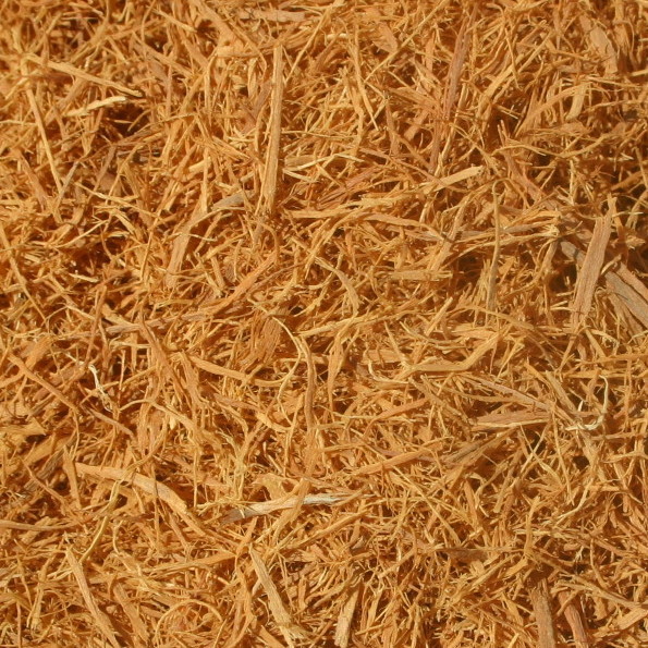 Cat’s Claw BULK HERBS 1 lb.