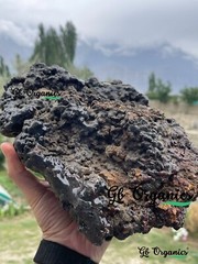 100% Pure Organic Himalayan Shilajit Mumiyo by GB Organics 30g
