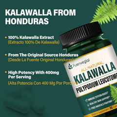 Kalawalla Root Capsules, Polypodium Leucotomos Extract Supplements Support Immun