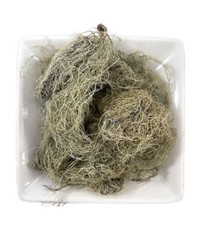 Usnea Lichen – 100% Pure, Wild-Crafted, Respiratory & Immune Support barbata