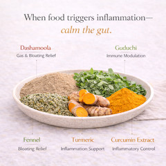 Hypersensitive Digestive Formula #112 | Relief post-meal | Food Sensitivities