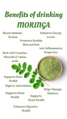 Organic Moringa Powder 3.5 oz (100 gm)