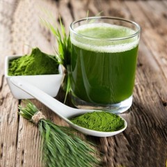 Barley Grass Powder Organic, USDA Certified, Green Vegan Superfood 17.6 OZ