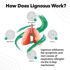 Lignosus: The Best Natural Lung Supplement 30 Sachet Box(Free same day shipping)