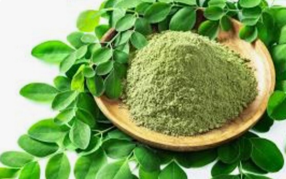 Moringa oleifera Leaf Powder 100% Pure Natural Superfood Gluten Free 100g