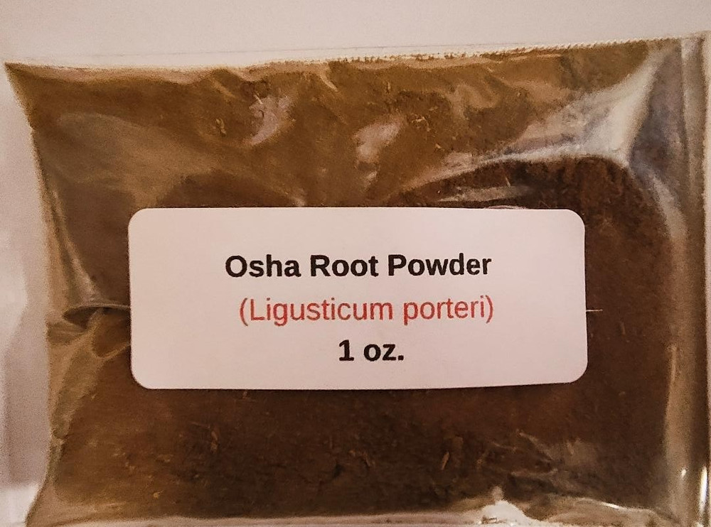 1 oz. Osha Root Powder (Ligusticum Porteri) Wildcrafted