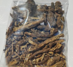 3oz Osha Root, Bear Root, Ligusticum porteri, mountain lovage root, wild parsley