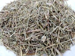 Common wormwood artemisia 100 gram (3.5 oz) عشبة الشيح شيح