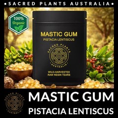 MASTIC GUM Resin 25g Tears of Chios | Pistacia Lentiscus Sacred Shaman Medicinal