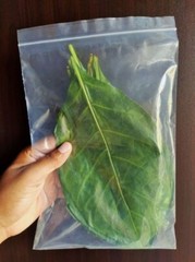 50+ Natural Dried Noni Leaves – Ahu Morinda Citrifolia Organic Herbal Fruit Leaf