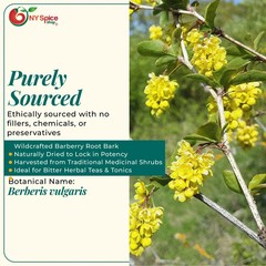 Barberry Root Bark Cut & Sifted Bold Spice for Exotic Culinary Adventures