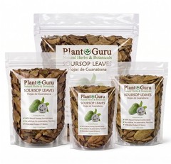 Dried Soursop Leaves – Natural Graviola Soursop Tea Leaves, Hojas de Guanabana