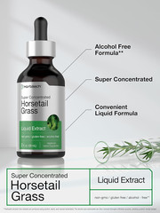 Horsetail Herb Liquid Extract | Alcohol Free | 2 Fl Oz | Vegetarian, Non-Gmo, &