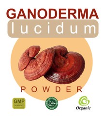 75 – 1540 g. Ganoderma Lucidum Powder Oragic lingzhi Mushroom Tracking NO