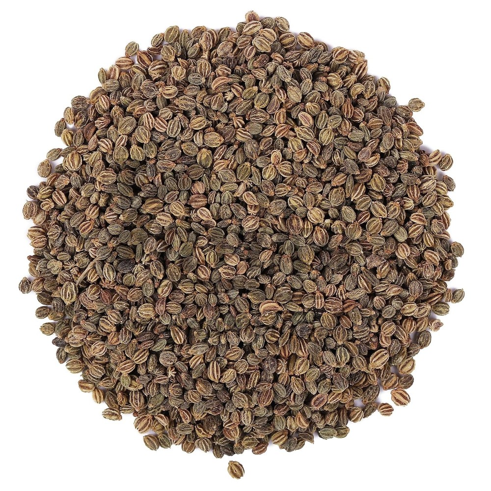 Organic Herb Ajmod Parsley Apium Graveolens
