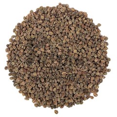 Organic Herb Ajmod Parsley Apium Graveolens