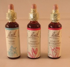 Bach Flower Remedies, Clematis 20ml. BBE 12/2029