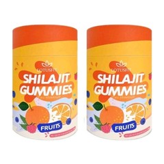Lot of 2 Shilajit Gummies with Ashwagandha Fulvic Acid Mixed Berry Citrus Flavor