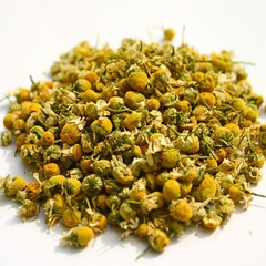 German Chamomile Whole Fresh Flowers (Matricaria recutita)