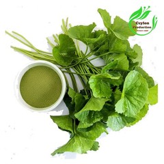 Gotu Kola Centella asiatica Leaves ground powder Dried Organic Herbal pennywort