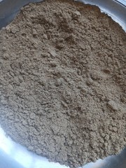 Fresh Osha Root Wildharvested, Powder, Ground 2025