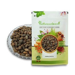IndianJadiBooti – Jamalghota Seeds – Croton Seeds – Croton Tiglium – 250 GRAMS