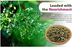 Moringa Leaves Tcut 8 oz (1 pack) |Superfood, Antioxidant, Immunity, Natural Tea