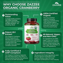 Potent 25:1 Organic Cranberry Extract – 500mg Capsules for Urinary Health