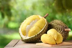 Vacuum Freeze Dried Durian Powder 500 g. Thai