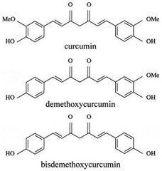 CURCUMIN + PIPERINE capsules 400 mg each BIOAVAILABLE CURCUMIN 95%
