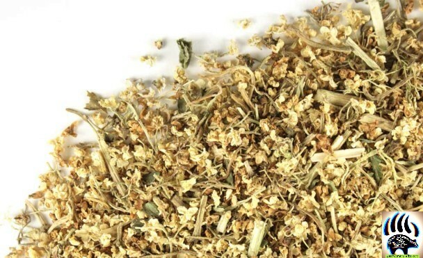 Elderberry Flower Whole 2 oz, 4 oz