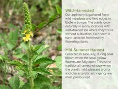 Dried Agrimony Herb – Cut & Sifted – Agrimonia Eupatoria – Herbal Tea Bulk