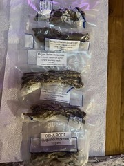 Osha Roots ( Ligusticum porteri )