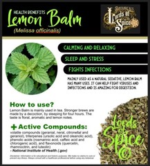 Organic Lemon Balm Tea – (Melissa officinalis) Classic Herb – USA