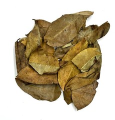 Dried Soursop Leaves – Natural Graviola Soursop Tea Leaves, Hojas de Guanabana