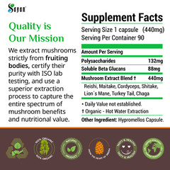 7 Mushrooms Extract Supplement Energy Boost Complex Lion’s Mane Reishi 90 Caps