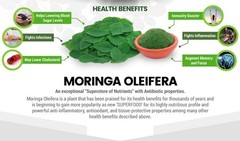 Organic Moringa Oleifera Leaf Supplement 60 PILLS Natural Immunity Weigh Loss