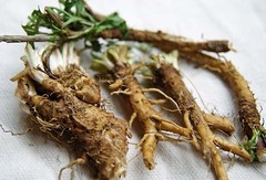 WHOLESALE! CHICORY ROOT DRIED ROASTED GRANULES NON-GMO BULK HERB TEA-1-5 LBS