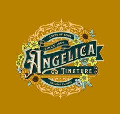 Angelica Root Extract Angelica Tincture – herbal drops – easy – USA – Free Ship